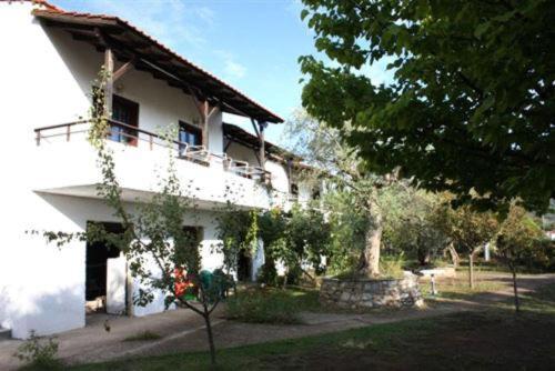 Olive Studios And Apartments Skala Potamia  Exterior photo